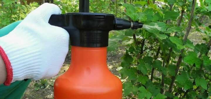 сад от вредителей