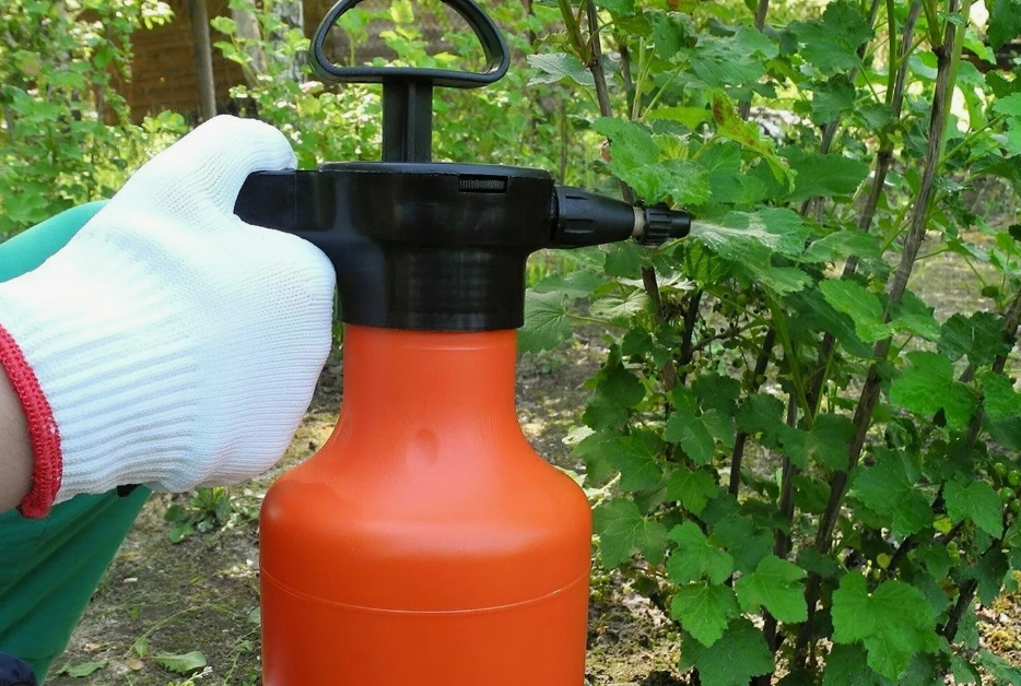 сад от вредителей